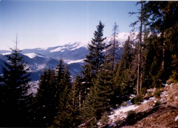 Image 6 of 25  -  197 kB